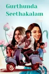 Gurthunda Seethakalam 2022 Hindi + Telugu South Movie Bolly4u