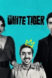 The White Tiger (2021) New Bollywood Hindi Full Movie Bolly4u