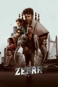 Zebra 2025 Hindi + Telugu South Movie Bolly4u
